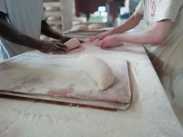 Le fournil de gascogne "Reguin"
